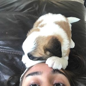 Meet your Posher, Lori